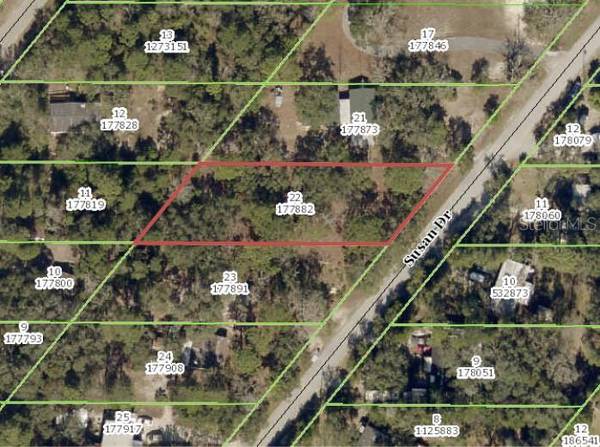 SUSAN DR, Spring Hill, FL 34606