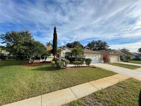 New Port Richey, FL 34655