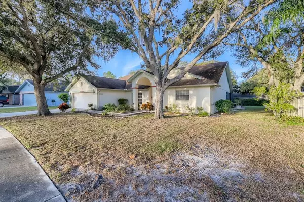 12204 SHADY FOREST DR, Riverview, FL 33569