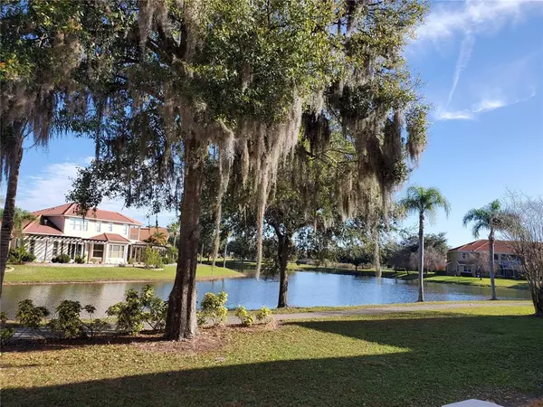 Land O Lakes, FL 34637,6816 DALI AVE #202