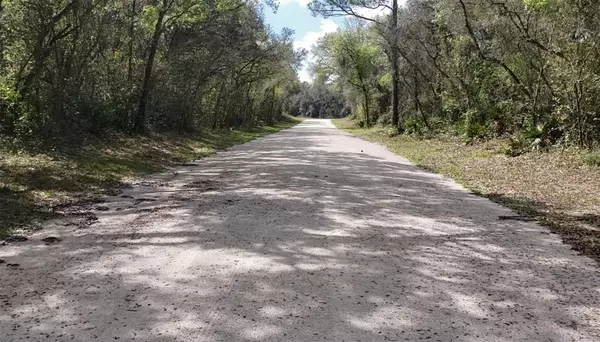 SUDAN DR, Webster, FL 33597