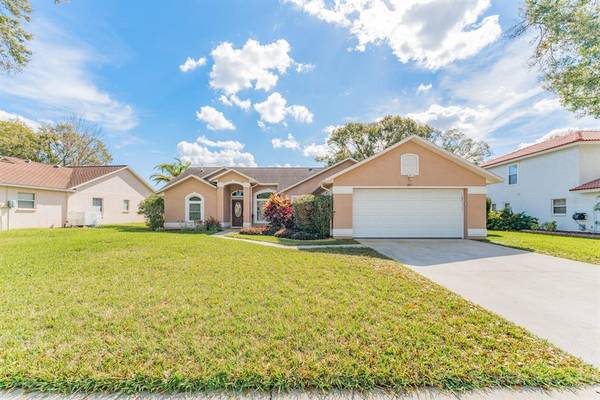 1817 CITRUS ORCHARD WAY, Valrico, FL 33594