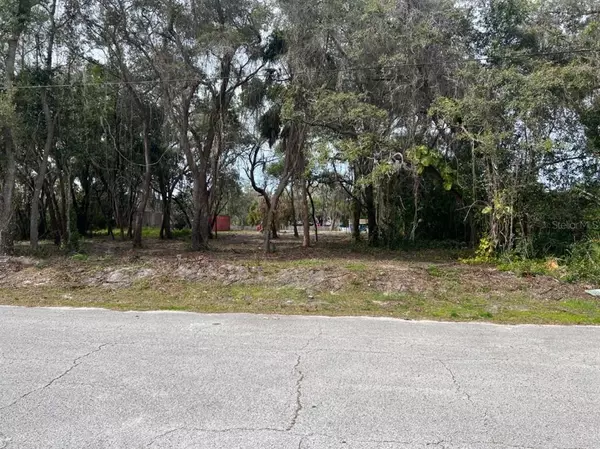 New Port Richey, FL 34654,9128 ROYAL PALM AVE