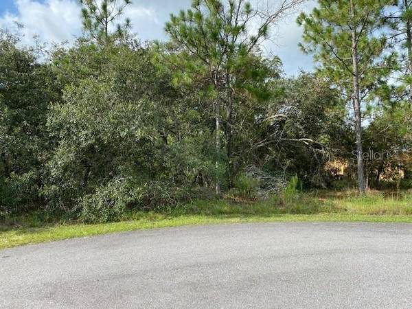 Lot 5 MALEO RD, Weeki Wachee, FL 34614