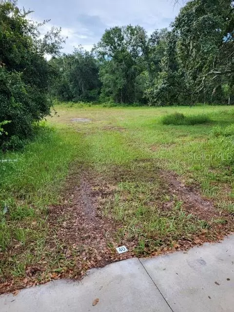 Tampa, FL 33625,0 CAIN RD