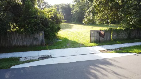 Tampa, FL 33625,0 CAIN RD