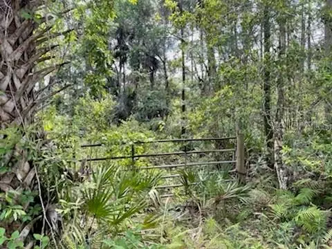 Homosassa, FL 34448,8107 W MAYFAIR DR