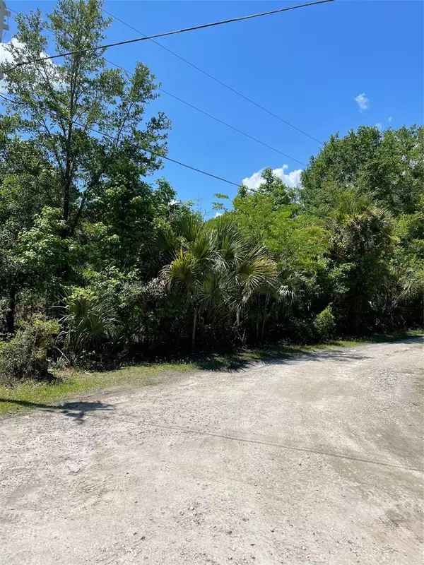 Inverness, FL 34453,9368 E RIVEROAK LN