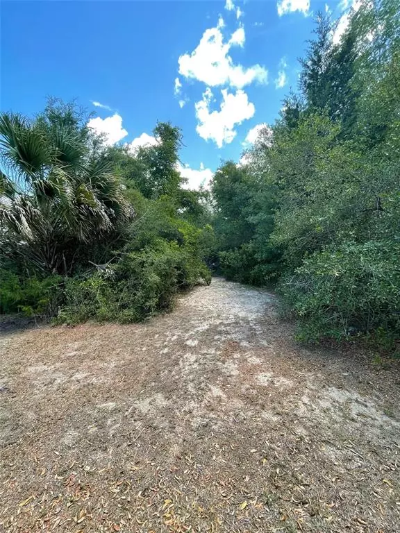 SW 279 AVE #Lot 1, Steinhatchee, FL 32359
