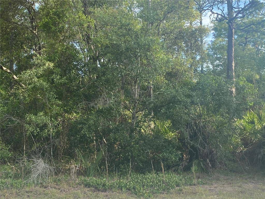5591 S WILL PT, Homosassa, FL 34446