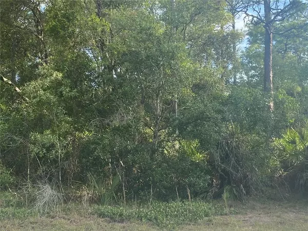 5591 S WILL PT, Homosassa, FL 34446