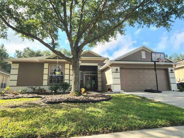 8205 PINEWOOD RUN CT, Tampa, FL 33647