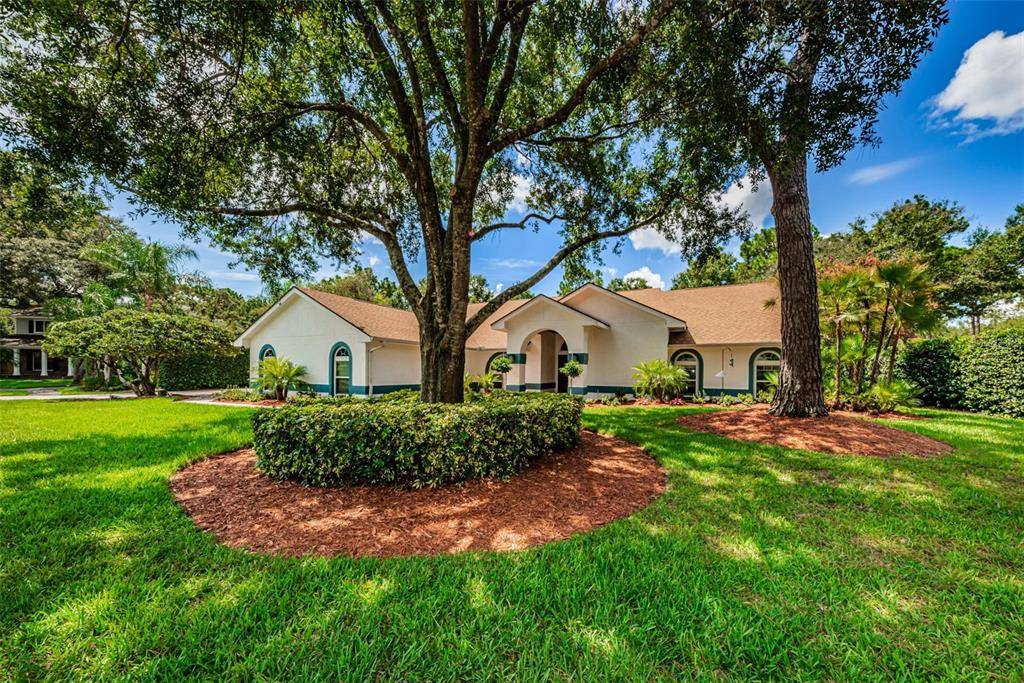 15904 ARMISTEAD LN, Odessa, FL 33556