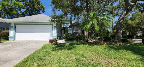 4174 SETON CIR, Palm Harbor, FL 34683