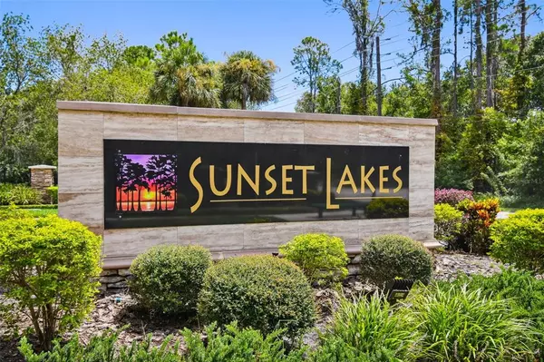 Land O Lakes, FL 34638,20928 LAKE VIENNA DR