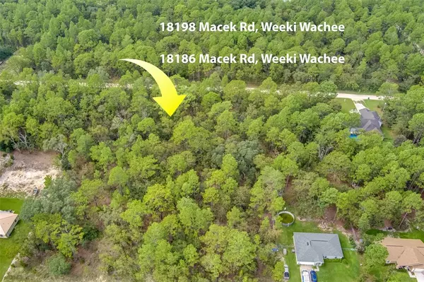 Weeki Wachee, FL 34614,18198 MACEK RD