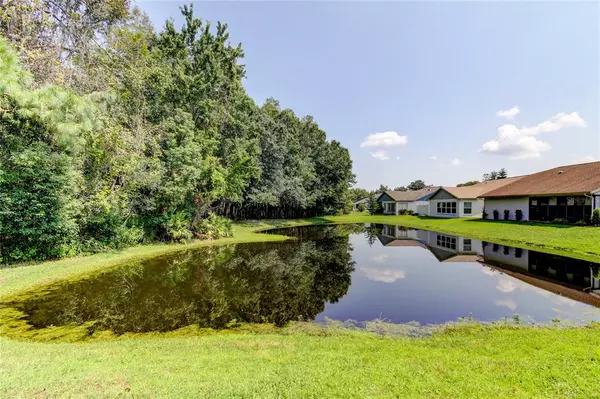 New Port Richey, FL 34654,11706 ALDERWOOD DR