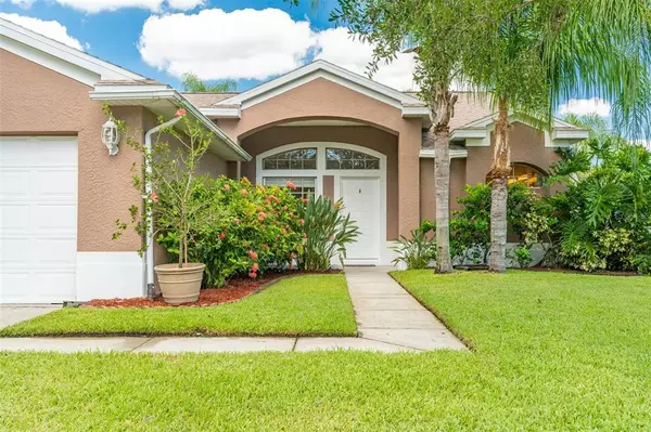 Oldsmar, FL 34677,383 FOUNTAINVIEW CIR