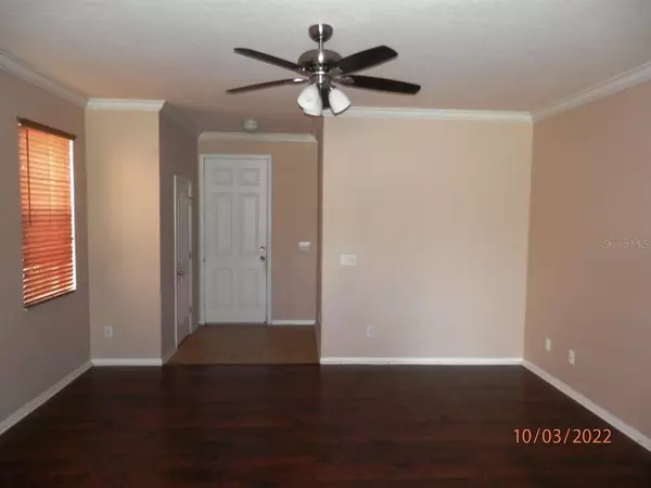 Wesley Chapel, FL 33545,4749 WHITE BAY CIR