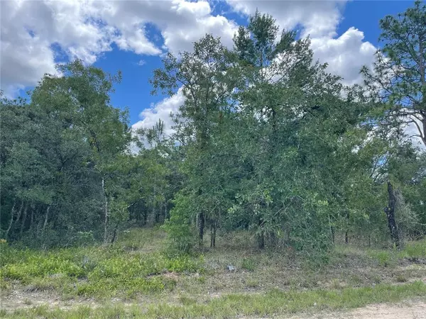 Weeki Wachee, FL 34614,Lot 29 EASTERN PHOEBE RD