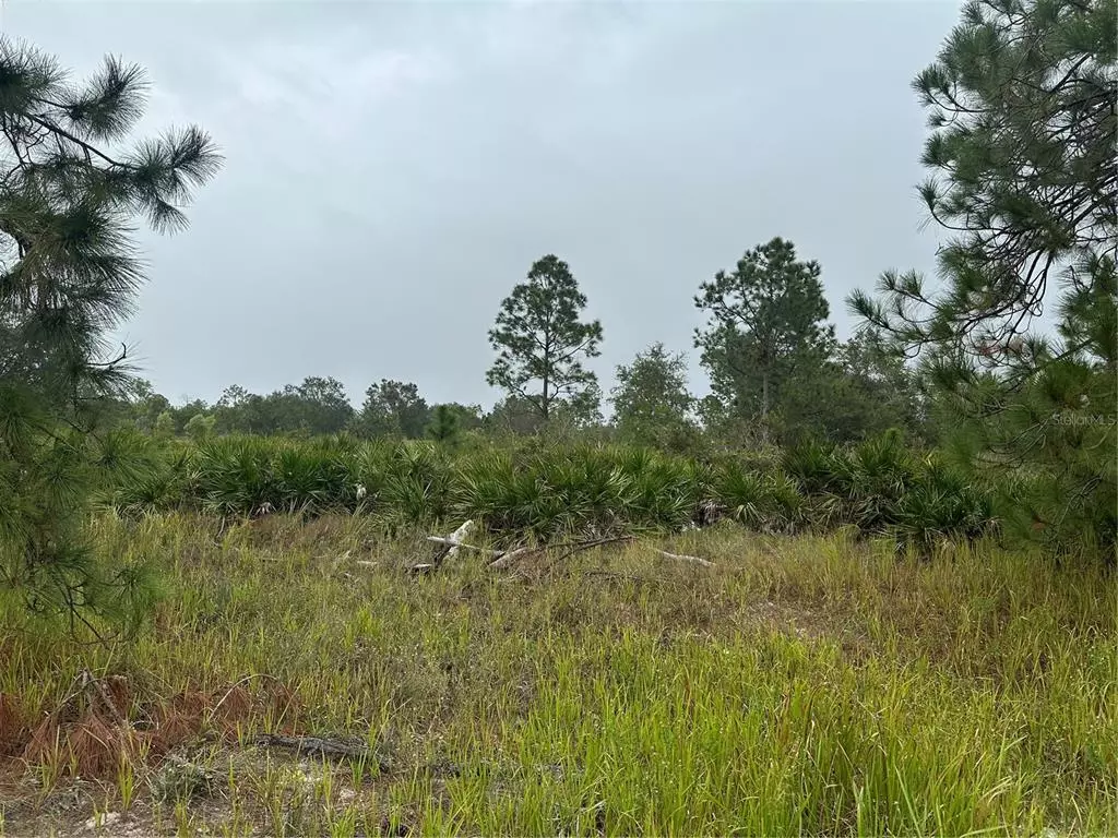 Labelle, FL 33935,7788 3RD PL