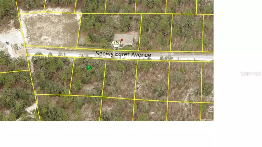 Weeki Wachee, FL 34614,12152 SNOWY EGRET AVE