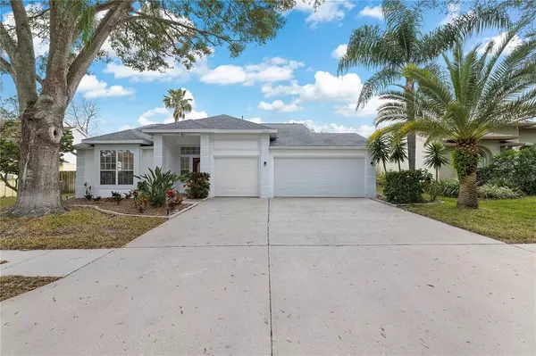 Palm Harbor, FL 34684,2665 ASTER DR