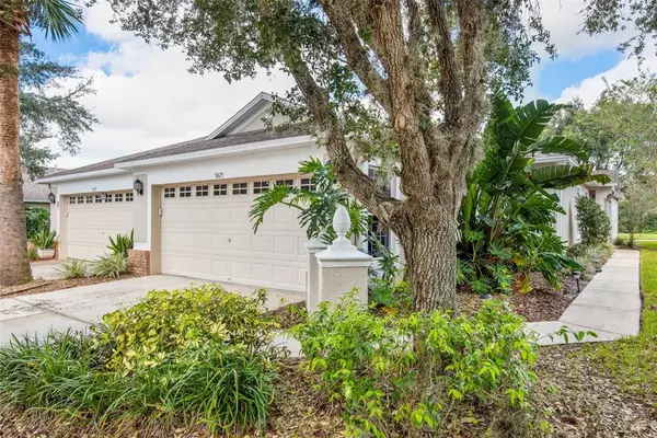 5825 PHOEBENEST DR, Lithia, FL 33547