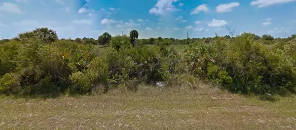 Port Charlotte, FL 33981,10437 BAY STATE DR