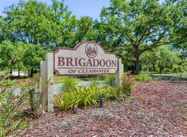 Clearwater, FL 33759,3401 BRIGADOON DR