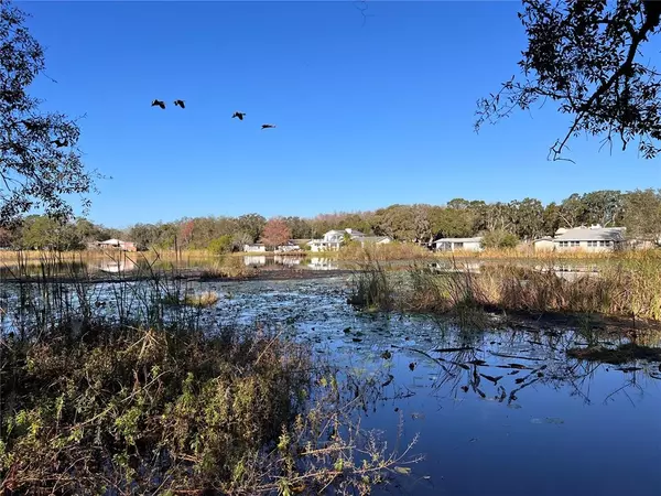 12401 TERRA CEIA AVE, New Port Richey, FL 34654