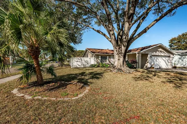 Dunedin, FL 34698,1004 VINEYARD CT