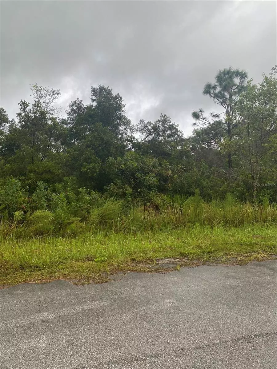 Citrus Springs, FL 34434,6189 N BUCKLAND DR