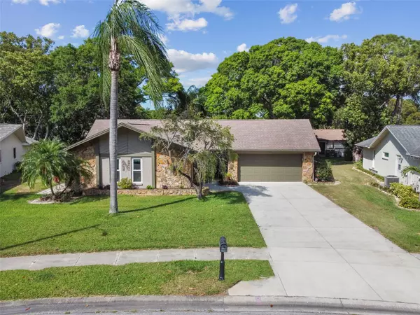 Palm Harbor, FL 34684,3023 CHATTAN CT