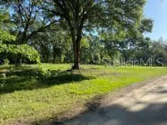 Zephyrhills, FL 33540,38347 HIGGINSON RD