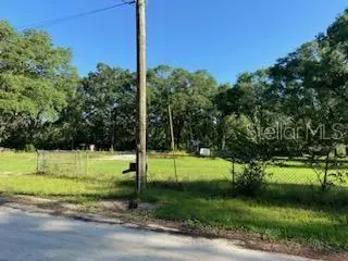 Zephyrhills, FL 33540,38347 HIGGINSON RD