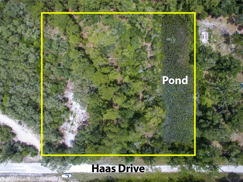 Lot 13 HAAS DR, Webster, FL 33597