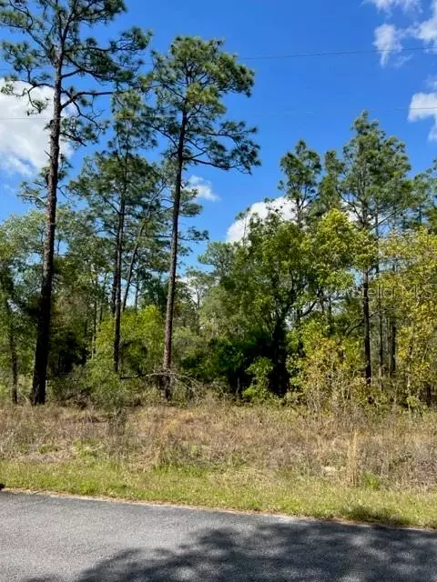 Dunnellon, FL 34431,NW ASPEN LN