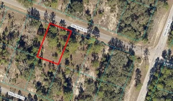 MALAUKA PL, Ocklawaha, FL 32179