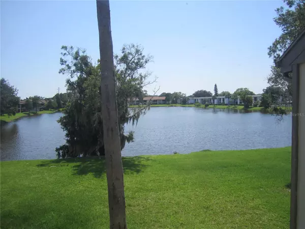 Oldsmar, FL 34677,206 WOODLAKE WYNDE