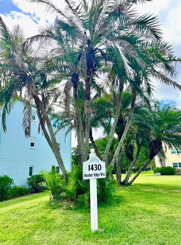 Dunedin, FL 34698,1430 HEATHER RIDGE BLVD #206