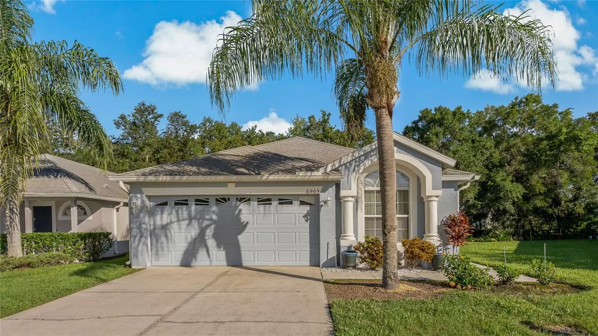 Wesley Chapel, FL 33544,6505 GENTLE BEN CIR