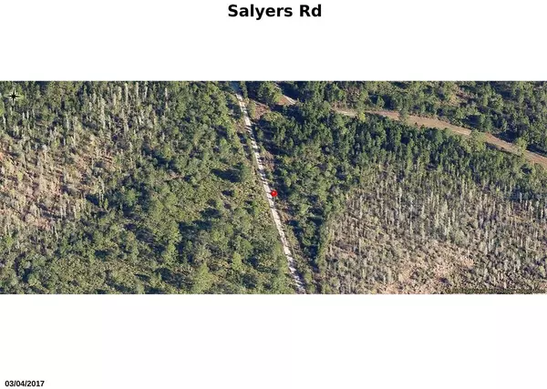 Clermont, FL 34711,SALYERS RD