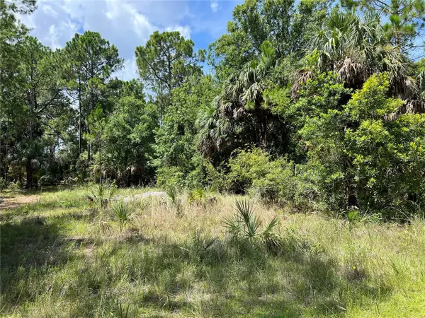 TBD GIRARD RD, Hudson, FL 34679