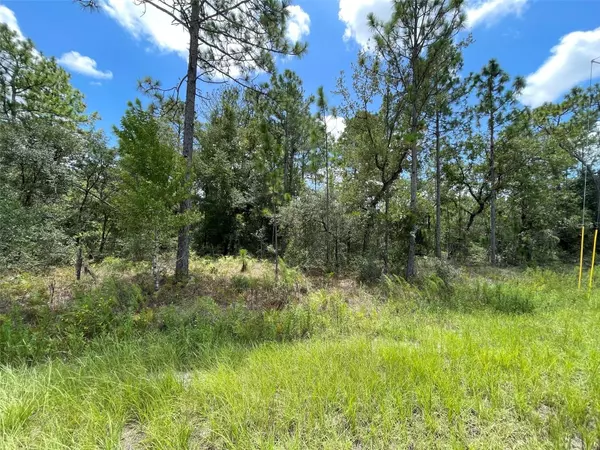 Weeki Wachee, FL 34614,0 SOOTY TERN AVE #Lot 3