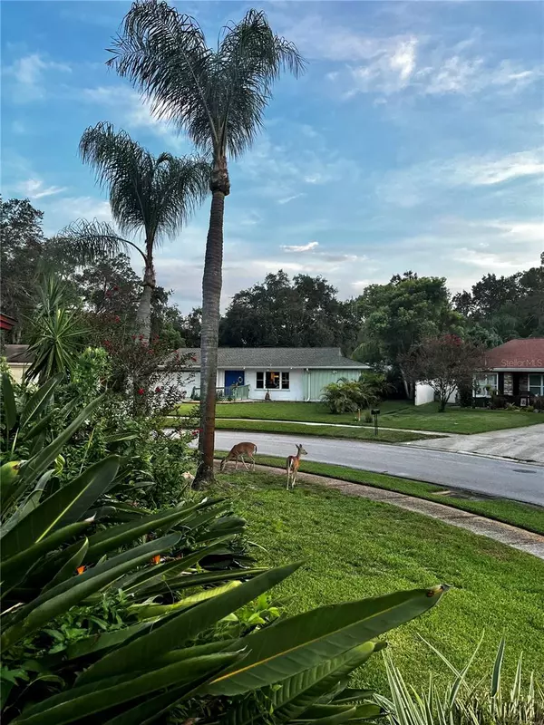 Palm Harbor, FL 34685,1137 LANYARD ST