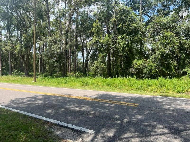 Lot #16 RICHARDSON BLVD, Webster, FL 33597