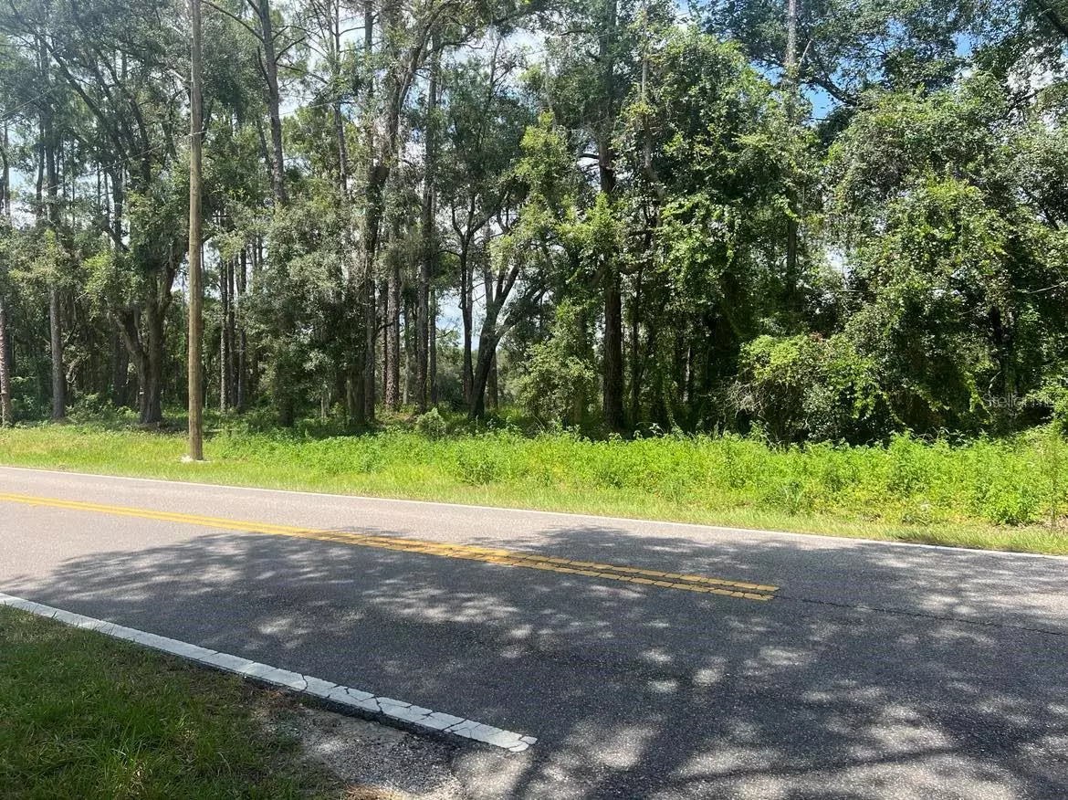 Webster, FL 33597,Lot #16 RICHARDSON BLVD