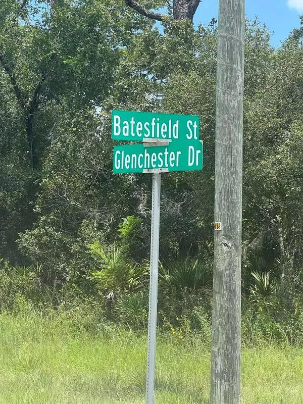 Webster, FL 33597,35004 BATESFIELD ST