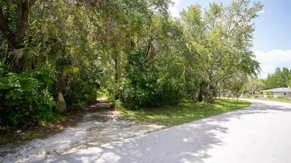 New Port Richey, FL 34654,0 SHOLTZ ST